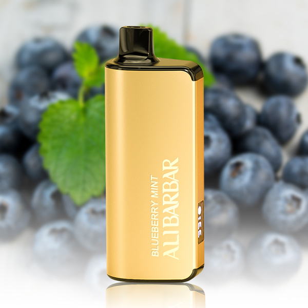 ALIBARBAR INGOT 9000 Puffs Blueberry Mint 1 ALIBARBAR INGOT 9000 Puffs Blueberry Mint