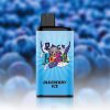 IGET Bar Pro 10000 Puffs Blueberry Ice 7 IGET Bar Pro 10000 Puffs Blueberry Ice