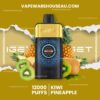 IGET One 12000 Puffs Kiwi Pineapple 3 IGET One 12000 Puffs Kiwi Pineapple