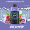 IGET One 12000 Puffs Raspberry Grape Ice
