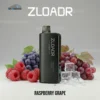 ZLOADR V9000 Puffs Raspberry Grape